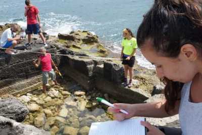 Il tesoro archeologico di Torre a Mare: tombe e antichi reperti tra spiagge e bagnanti